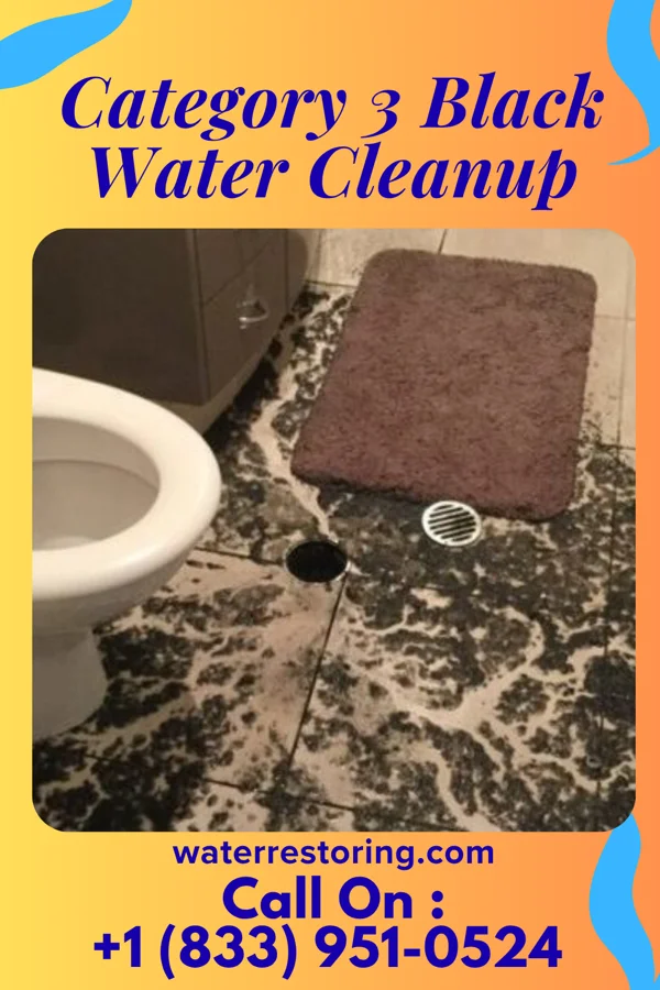 Category 3 Black Water Cleanup in Vinton, IA